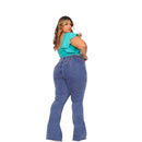 Calca Jeans Flaire Plus